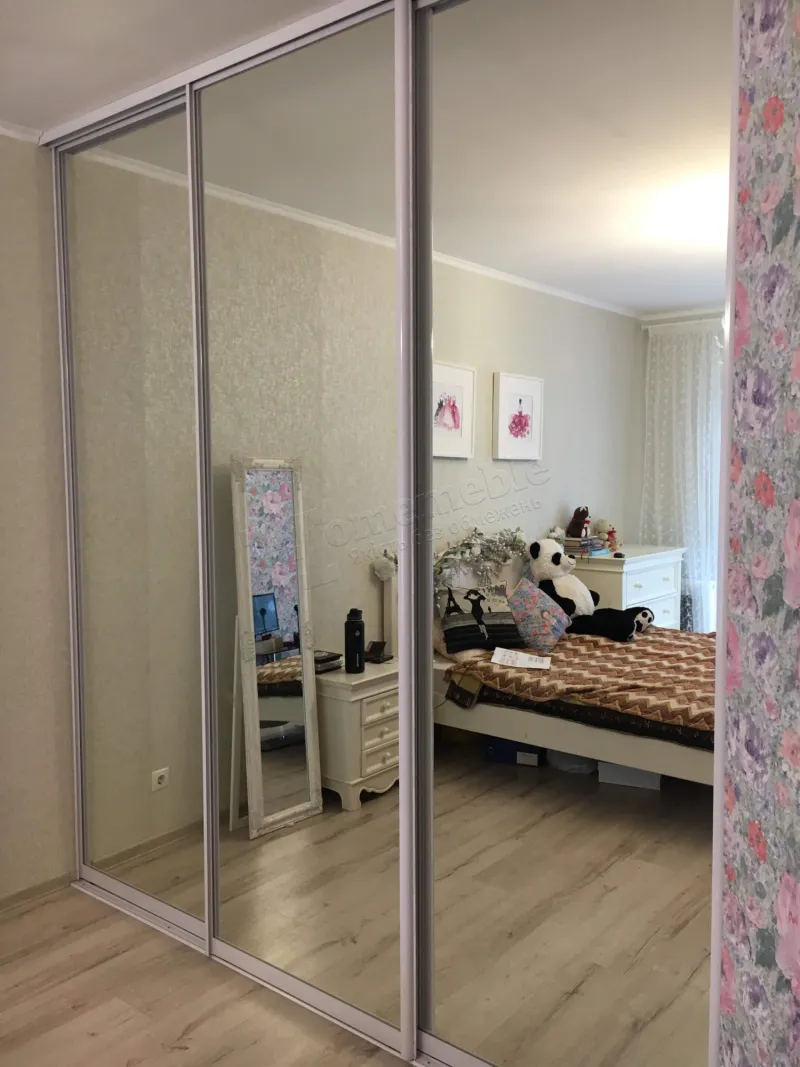 Шафа-купе №348 — для гардеробної, з дзеркальними дверима
