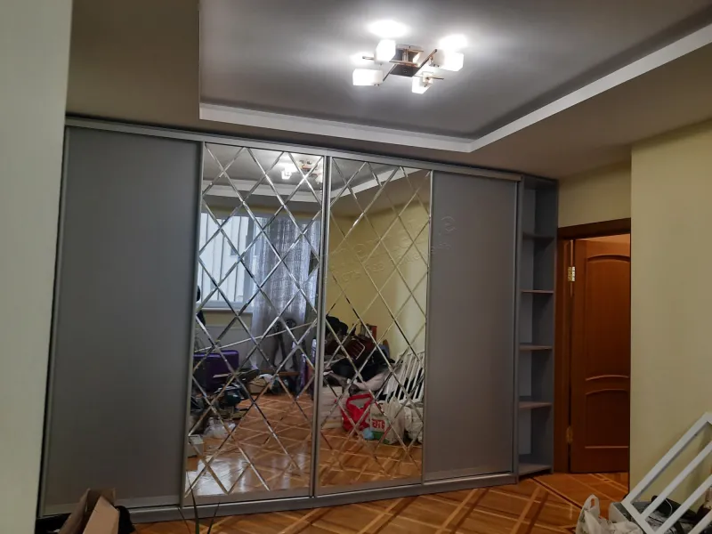 Шафа-купе №388 — для вітальні, з візерунком і дзеркальними дверима